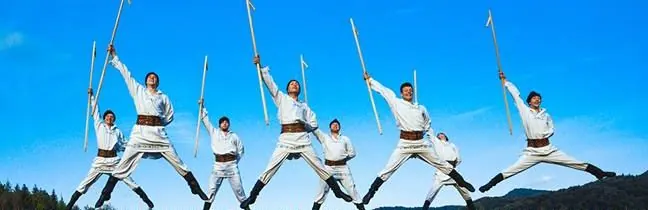 Male dancers of the Bukovynian Honored Ensemble leaping with decorated sticks raised overhead